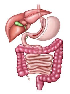 vertical sleeve gastrectomy