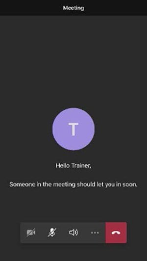 screenshot of a phone with the message: someone in the meeting should let you in soon."