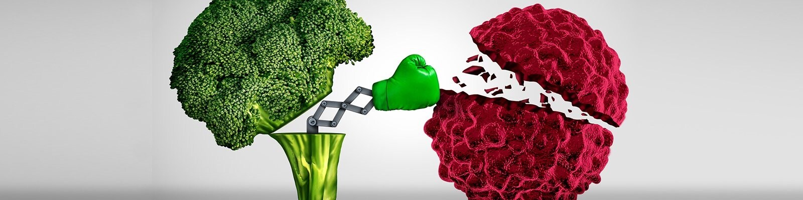 broccoli fighting virus