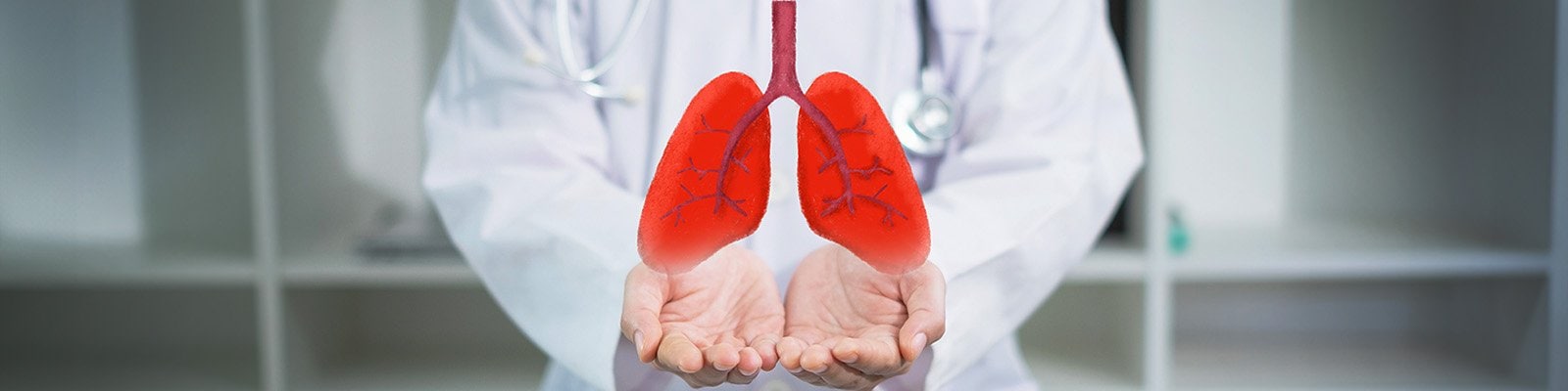 Diagram of lungs hovering over a doctor's hands