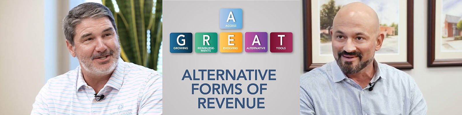 a great alternative forms of revenue